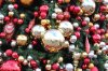 IMG_6358.jpg