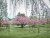 DSCN5407.jpg