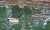 DSCN5392.jpg