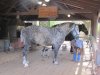 IMG_9368 - Copy.JPG