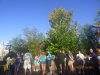 upload_2016-4-30_9-53-21.jpeg