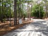 DSCN0058.JPG