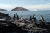 penguinsboat.jpg