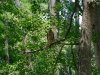 DSCN0074.jpg