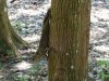 DSCN0102.JPG