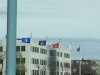 Windy flags.JPG