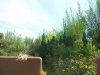 100_7481.JPG
