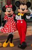 Mickey and Minnie 2015.jpeg