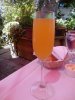 bellini.jpg