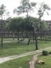 thumb_IMG_3359_1024.jpg