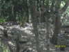 100_7521.JPG