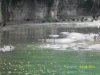 100_7523.JPG