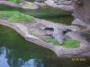 100_7527.JPG