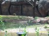 100_7531.JPG