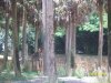 100_7535.JPG