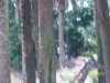 100_7537.JPG