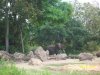 100_7541.JPG