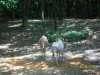 100_7548.JPG