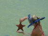 starfish2.jpg
