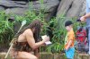 Tarzan.jpg