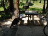 DSCN0180.JPG