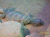 100_7552.JPG