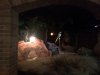 IMG_3553a.jpg