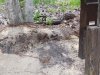 DSCN0187.JPG