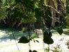 DSCN0116.JPG