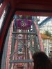 IMG_3631a.jpg