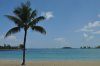 DSC_0290_2.JPG