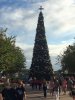 epcot4.jpg