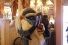 Rafiki.JPG