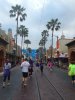 IMG_3689a.jpg