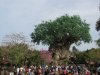 IMG_9809 - Copy.JPG