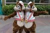 pink sashes.jpg