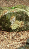 Screenshot_2016-05-21-13-54-13.png