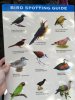 Birds.jpg