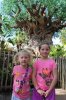 Tree Of Life.jpg