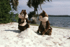 beach.gif