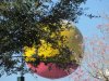 IMG_1074.JPG
