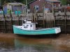 DSC09160.JPG
