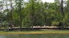 20160521_130114.jpg