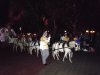 MVMCP parade horse carriage.jpg