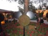 DtD Mickey topiary.jpg