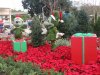 Epcot-topiaries 1.jpg