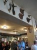 IMG_9828 - Copy.JPG
