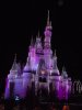 MK-iced castle lights.jpg