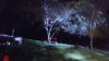20160527_212733.jpg