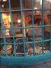Eels in Diagon Alley.jpg